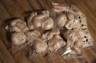 Realborn Kit by Bountiful Baby any From Stock