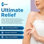 Bacitracin With Zinc Ointment   Aloe 1 Oz   28 G  pack Of 4 