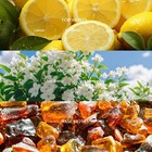 Aromadd Bergamot Coastal Diffuser Oil 100 Ml Luxury Hotel Scent Refill