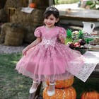 Flower Girl Bridesmaid Dress Baby Kids Party Wedding Bridesmaid Princess Dresses