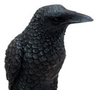Ebros Gothic Raven Statue Crow Scavenger Bird Perching On Rock Figurine 6 h