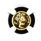 1995 China 5 Yuan 1 20th Oz  999 Small Date Gold Panda Coin Ngc Ms69 Dpl pop 12