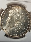 1890-cc  1 Silver Morgan Dollar Ms 62  Ngc 3752665-003 Ultra Rare   Sought After