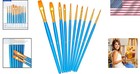 Complete Acrylic Brush Set - 10 Fine Pointed Tips For Enthusiasts And Beginners
