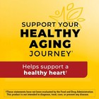 Nature Made Fish Oil Omega 3 Supplements 1200 Mg Softgels 230 Count