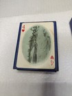Vintage 1902 Yellowstone National Park Souvenir Playing Cards