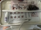 Beautural Wired Nail Drill