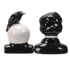 Pt Edgar Allen Poe And Skull With Raven Ceramic Salt And Pepper Shakers Set