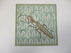 Melissa Shirley Handpainted Needlepoint Canvas Grasshoper Against Green