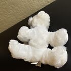 Ganz Webkinz Hm120 Gray   White Husky 7  Plush Stuffed Animal No Code