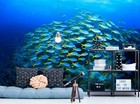 3d Blue Ocean Fish S370 Wallpaper Mural Self-adhesive Removable Sticker Kids Pa