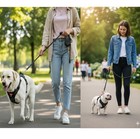 Upgraded Adjustable Dog Harness Reflective Durable Pet Vest For Medium Large Dog