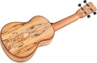 Cordoba Model 24s Soprano Size Ukulele Solid Spruce Top  Spalted Maple Body