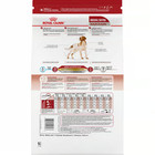 Royal Canin Size Health Nutrition Medium Breed Adult Dry Dog Food 30 Lb