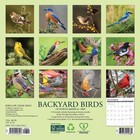Backyard Birds 2026 7  X 7  Mini Wall Calendar