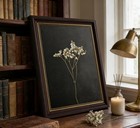 Vintage Brown Framed Flower Canvas Wall Art Retro Dark Dried Wildflower Paint   