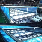 10w 20w 30w 50w 100w 150w 200w 300w 500w 800w 1000w Led Flood Light Outdoor Lamp