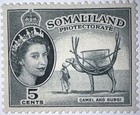 Travelstamps  1953 Somaliland Stamps Sc 128  5c Camel With Gurgi  mint Og Hinged