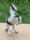 Custom Breyer Horse Cm Sm Stablemate Lippizaner Stallion Bay Paint Pinto