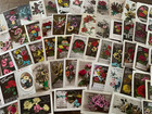 Beautiful huge Lot Of 175 roses flowers antique tinted Photo Greetings Postcards