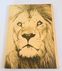 Lyons High School Lions Roar 1972 High School Yearbook  Lyons  Kansas