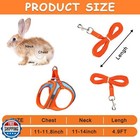 Petknows 2 Pack Rabbit Harness And Leash Set  Double Buckle Bunny Harness Wit