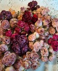 100 Vintage Shabby Chic Faux Dried Roses Millinery Victorian Flowers Darice 