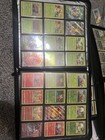 Pokemon Evolving Skies Complete Base Set C uc r v vmax all Rev Holo Nm   1-165 