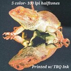 Low Cure   Low Bleed Plastisol Screen-printing Ink 15 Quart Pack