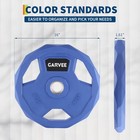 Coated Weight Plates 2-inch Cast Iron Weight Plates 45 Lb For Home  Single Plate