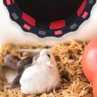 Chinchilla Toys Small Pet Exercise Wheel Syrian Hamster Wheel