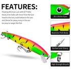 10 Pcs Fishing Lures Crankbaits Hook Kit Minnow Baits Bass Tackle Crank Fishing