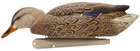 Avian X Topflight Early Season Mallards Decoy  Avx-avx8062 Hunting - Decoys