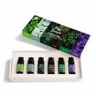 6-piece Essential Oil Set For Diffuser - Aromatherapy Blends  6x0 33 Fl Oz 