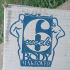 Provida Six Week Body Makeover Workout Program Set Dvd Cd Book