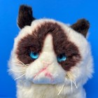 Gund Grumpy Cat Plush 9 Inch White Brown 4040133 Blue Eyes 2018