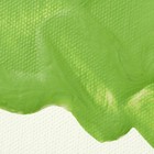 Liquitex Professional Matte Medium  946ml 1 Quarts  pack Of 1   Medium
