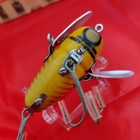 Heddon 2120 Xry Crazy Crawler Shore Minnow Old Wood Lure Vintage Rare Boxed 6cm