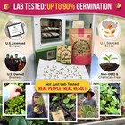 25 Medicinal   Tea Herb Seeds Variety Pack