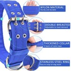 Military Adjustable 1 5   Wide D Ring   Buckle 2-rows Large  pack Of 1   Blue