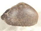 Larger  Oriented N w a  Stone Meteorite With Dark Fusion Crust  Libya 229gr
