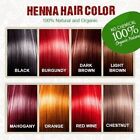 Natural Pure Organic Henna Hair Color 100  Chemical Free Herbal Hair Dye Powder 
