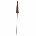 Central African Spear 70inch Congo