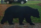 Patterns Bear   2 Cubs Yard Art Garden Woodworking Stencil Plans Farm Free Ship