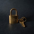 Louis Vuitton Padlock Gold Lock 2 Key Brass Number 315