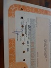 Tiger International Inc  1980 Stock Certificate 100 Shares