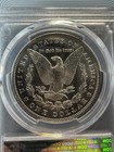 1884-cc  1 Pcgs Ms64dmpl - Morgan Dollar