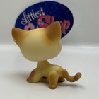 Shorthair Cat  816 - Authentic Littlest Pet Shop - Hasbro Lps