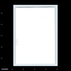 Old Vintage Photo Woman Standing Outside House