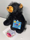 Webkinz Ganz  black Bear  Hm004 Sealed Tag code - Nwt - Stuffed Animal New